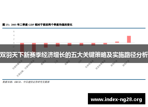 双羽天下新赛季经济增长的五大关键策略及实施路径分析