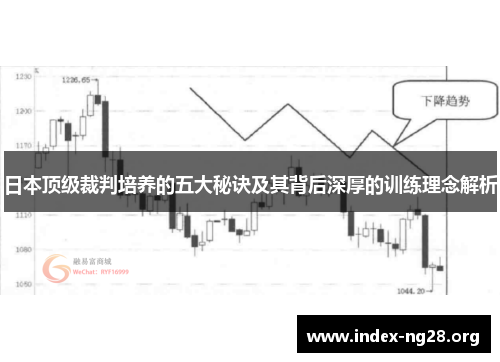 日本顶级裁判培养的五大秘诀及其背后深厚的训练理念解析