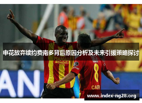 申花放弃续约费南多背后原因分析及未来引援策略探讨