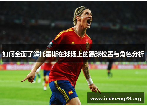 如何全面了解托雷斯在球场上的踢球位置与角色分析