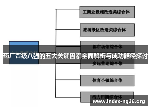 药厂晋级八强的五大关键因素全面解析与成功路径探讨