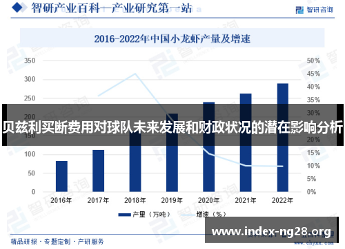 贝兹利买断费用对球队未来发展和财政状况的潜在影响分析