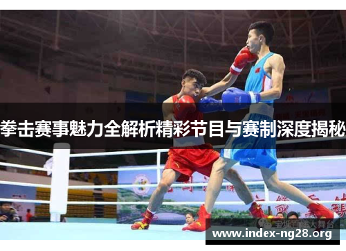 拳击赛事魅力全解析精彩节目与赛制深度揭秘 拳击赛事魅力全解析精彩节目与赛制深度揭秘